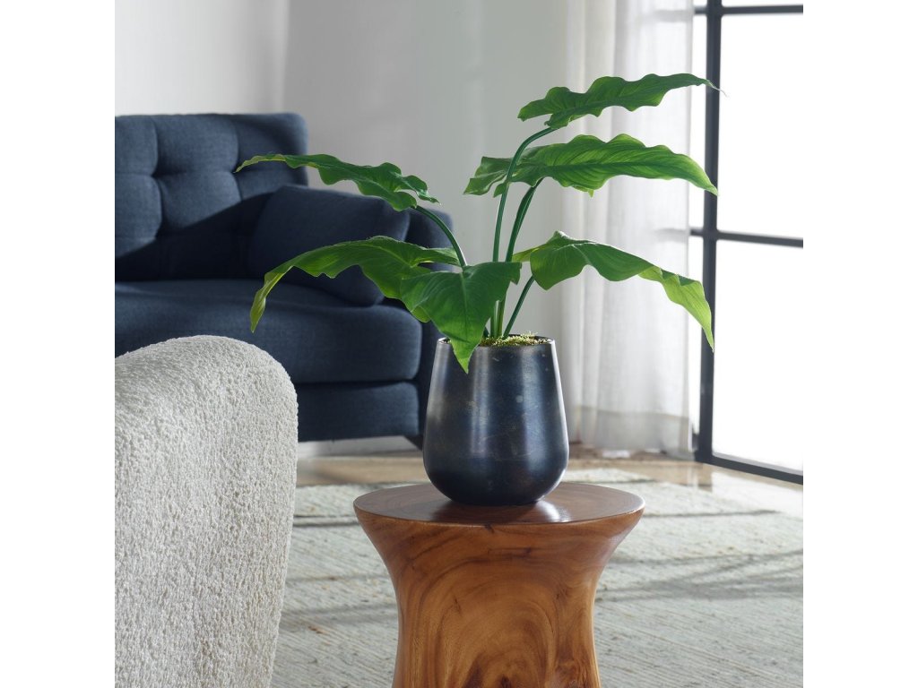 Mari Calla Accent - image 1