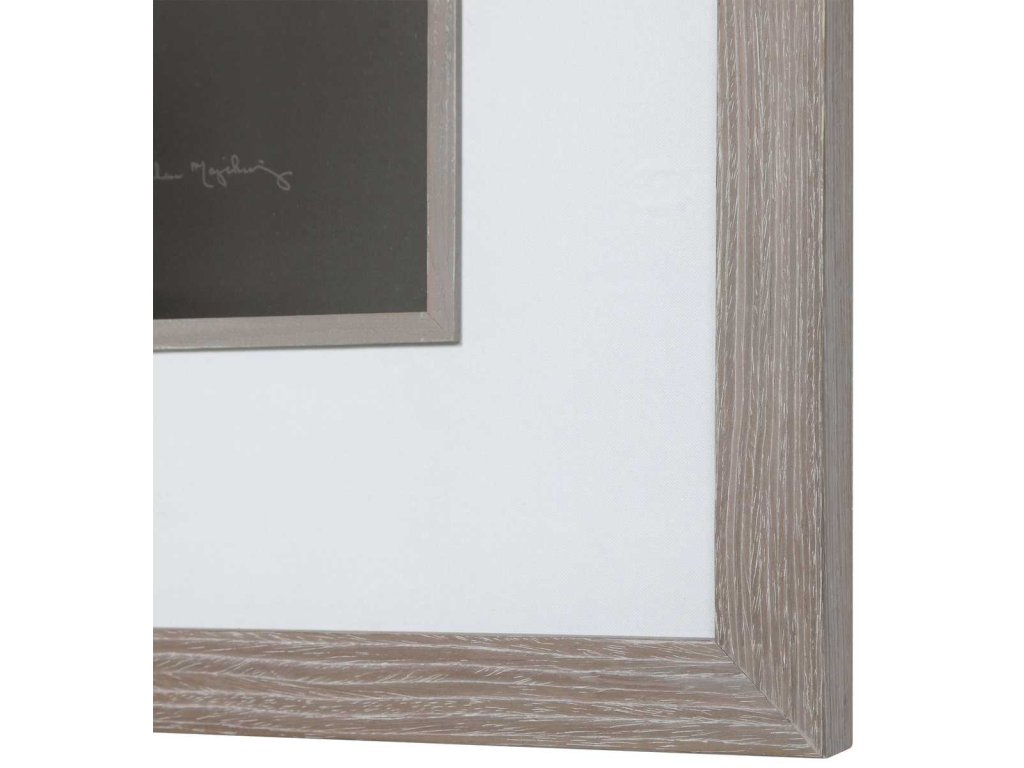 Dandelion Seedhead Framed Print - image 6