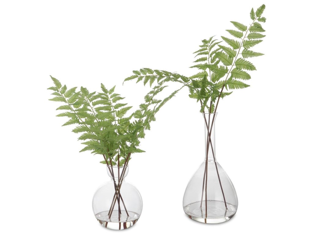 Country Ferns, S/2 - main image