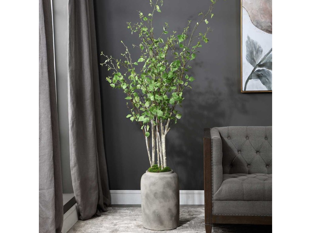 Aldis Potted River Birch - image 1