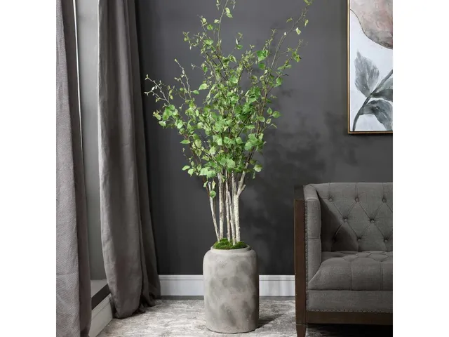 Aldis Potted River Birch - Alternative View