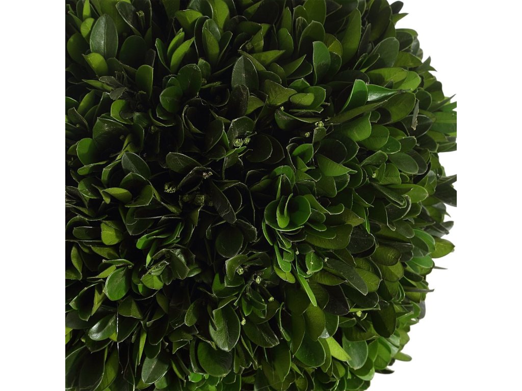 Preserved Boxwood Triple Topiary - image 2
