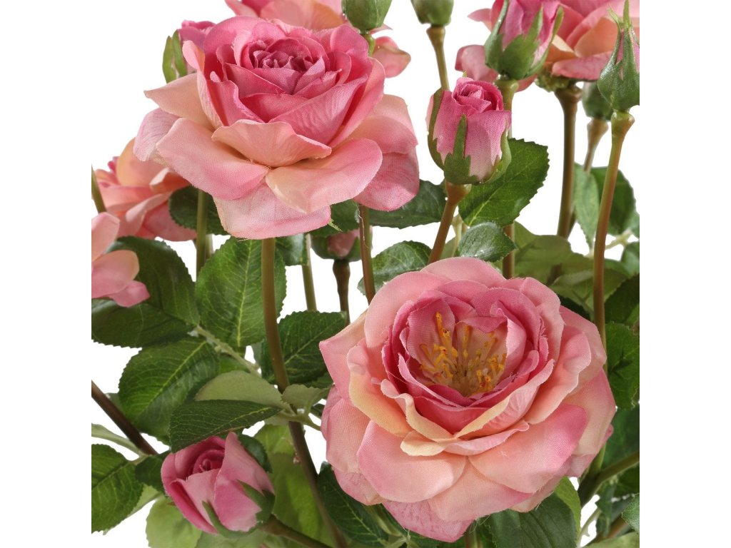 Adoration Rose Bouquet - image 3
