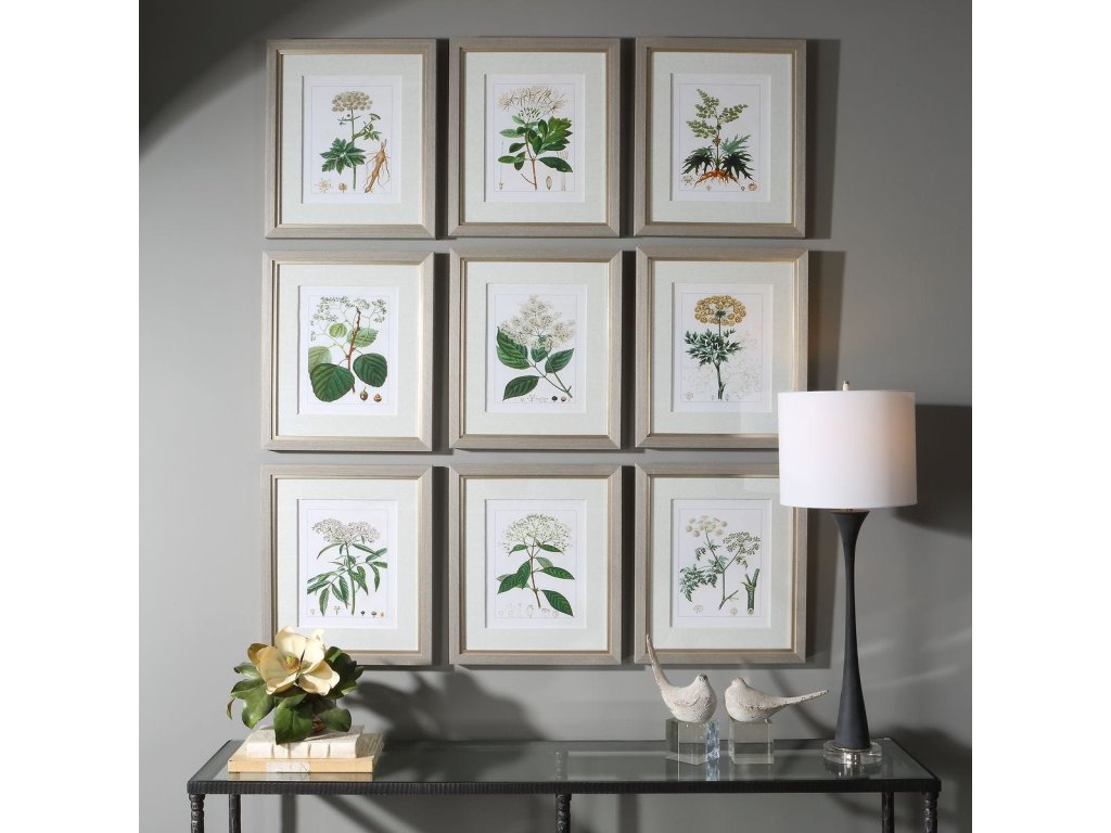 Antique Botanicals Framed Prints, S/9 - image 1