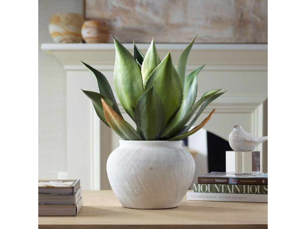 Tierra Agave Centerpiece - image 1