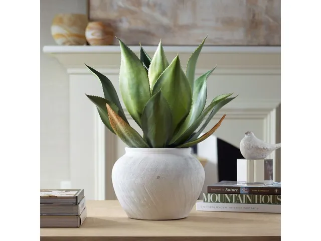 Tierra Agave Centerpiece - Alternative View