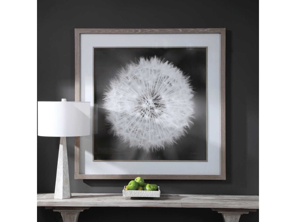 Dandelion Seedhead Framed Print - image 1