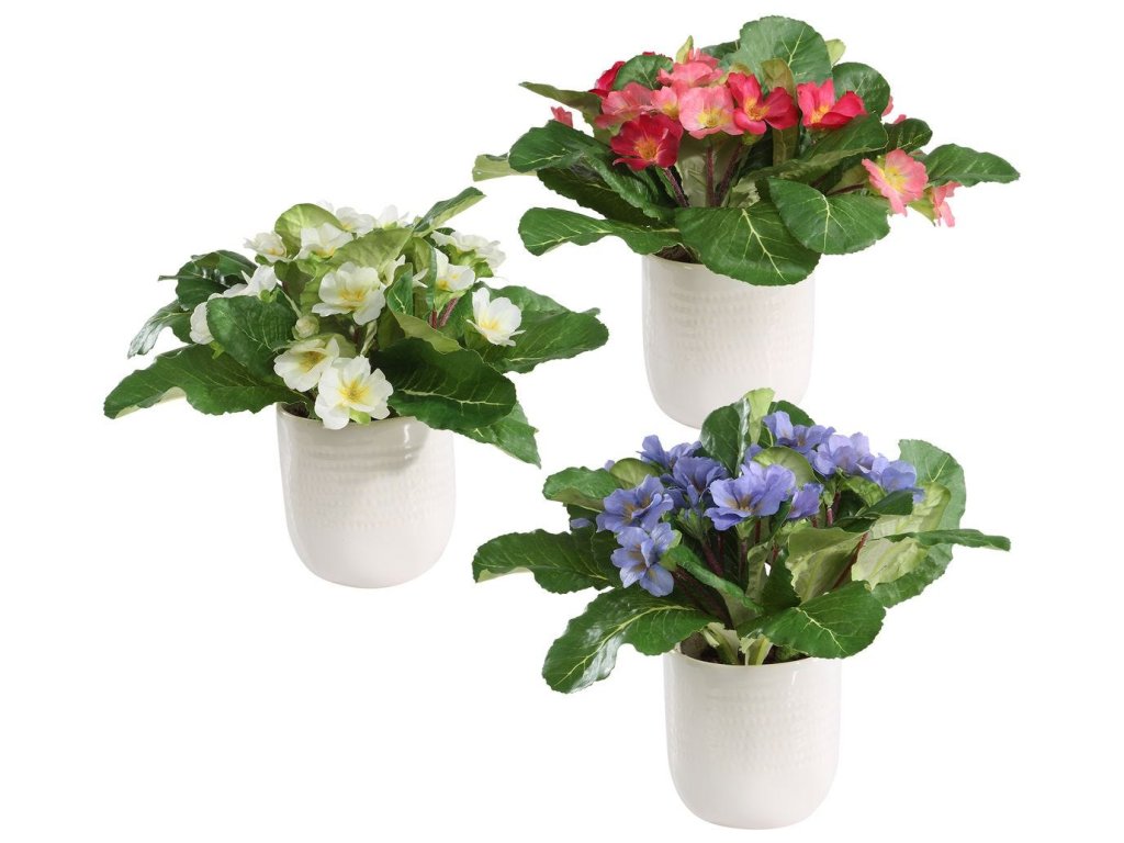 Trilogy Primrose Accents, S/3 - image 2