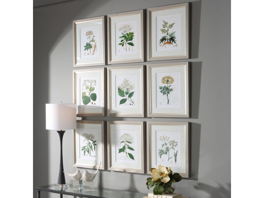 Antique Botanicals Framed Prints, S/9 - image 5