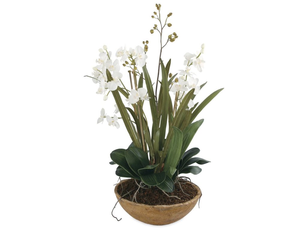 Moth Orchid Planter - main image