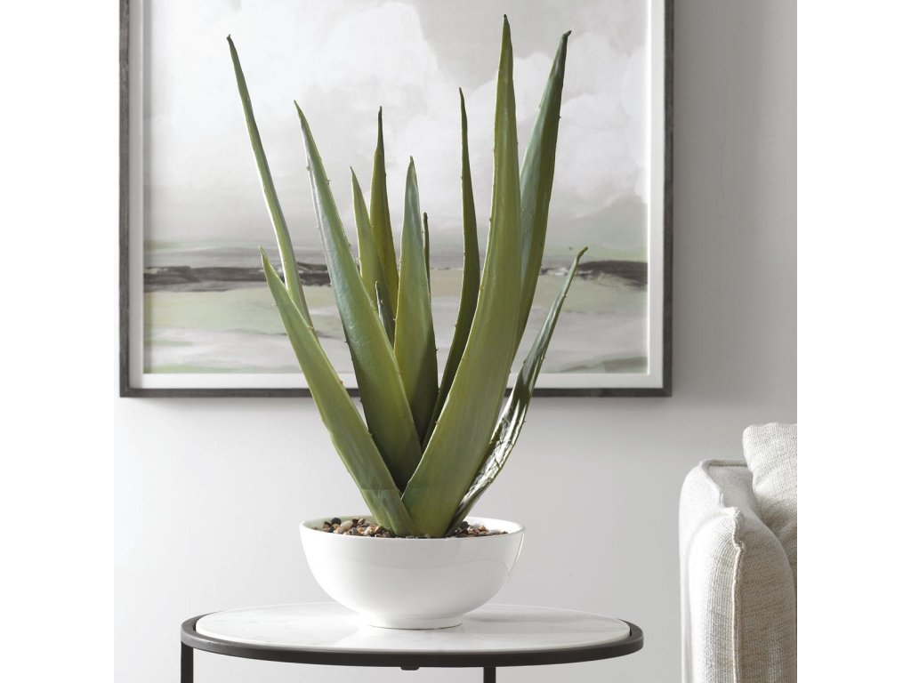Evarado Aloe Planter - image 1
