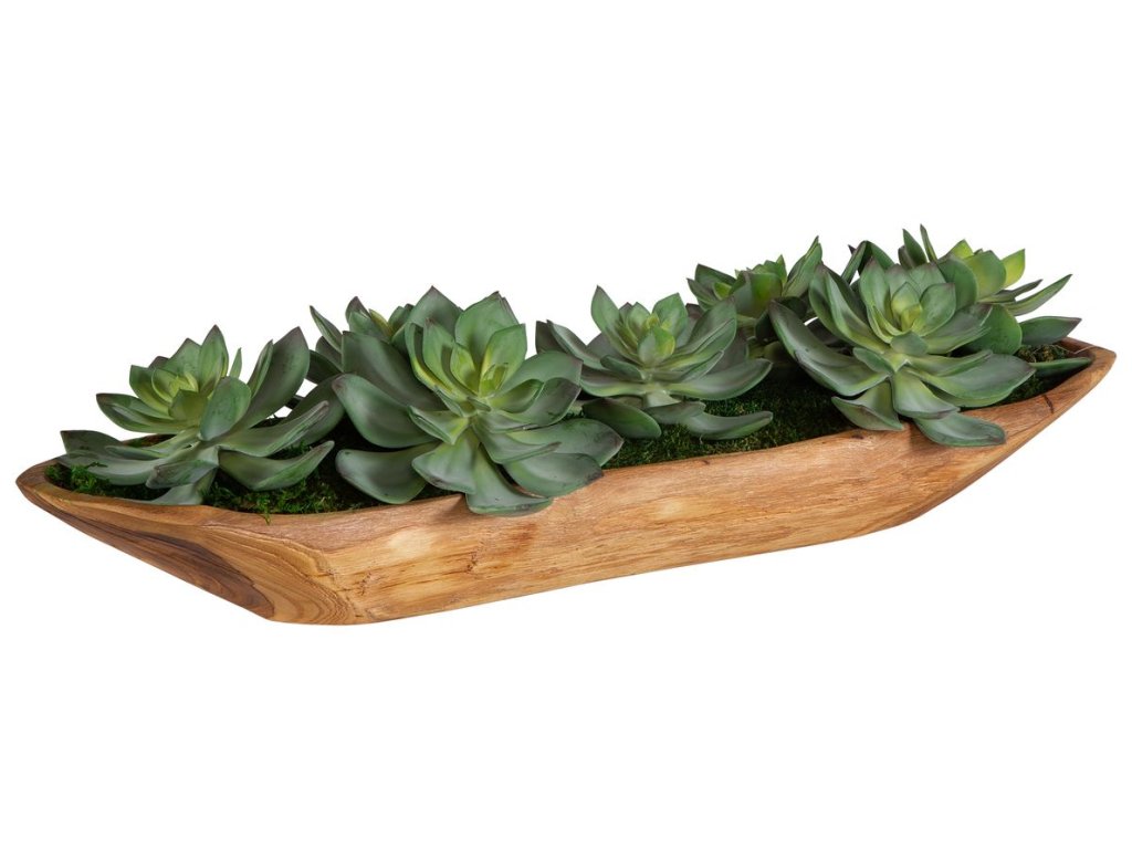 Yuma Succulent Centerpiece - image 2