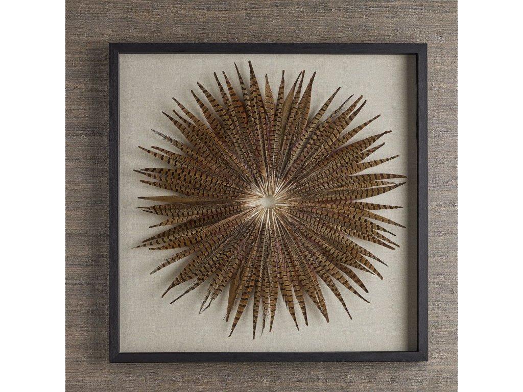 Feather Burst Shadow Box - image 1