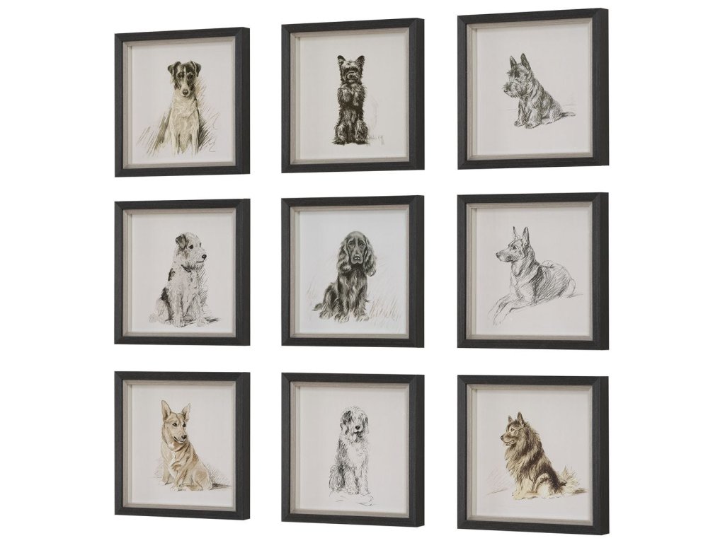 Loyal Companion Framed Prints, S/9 - image 3