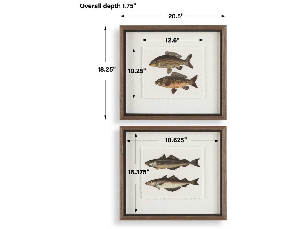 The Catch Framed Prints, S/2 - image 5