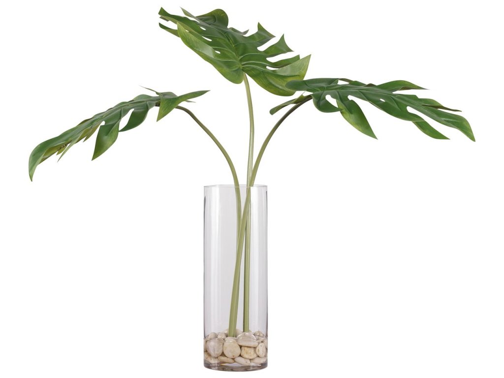 Ibero Split Leaf Palm - image 4