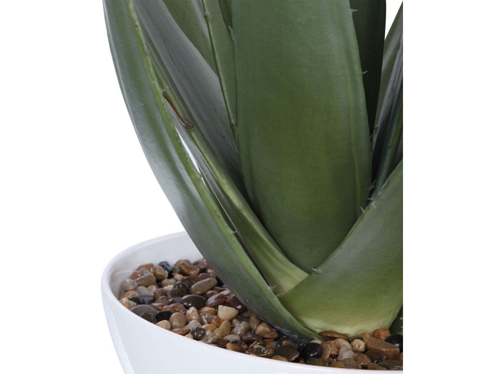 Evarado Aloe Planter - image 3