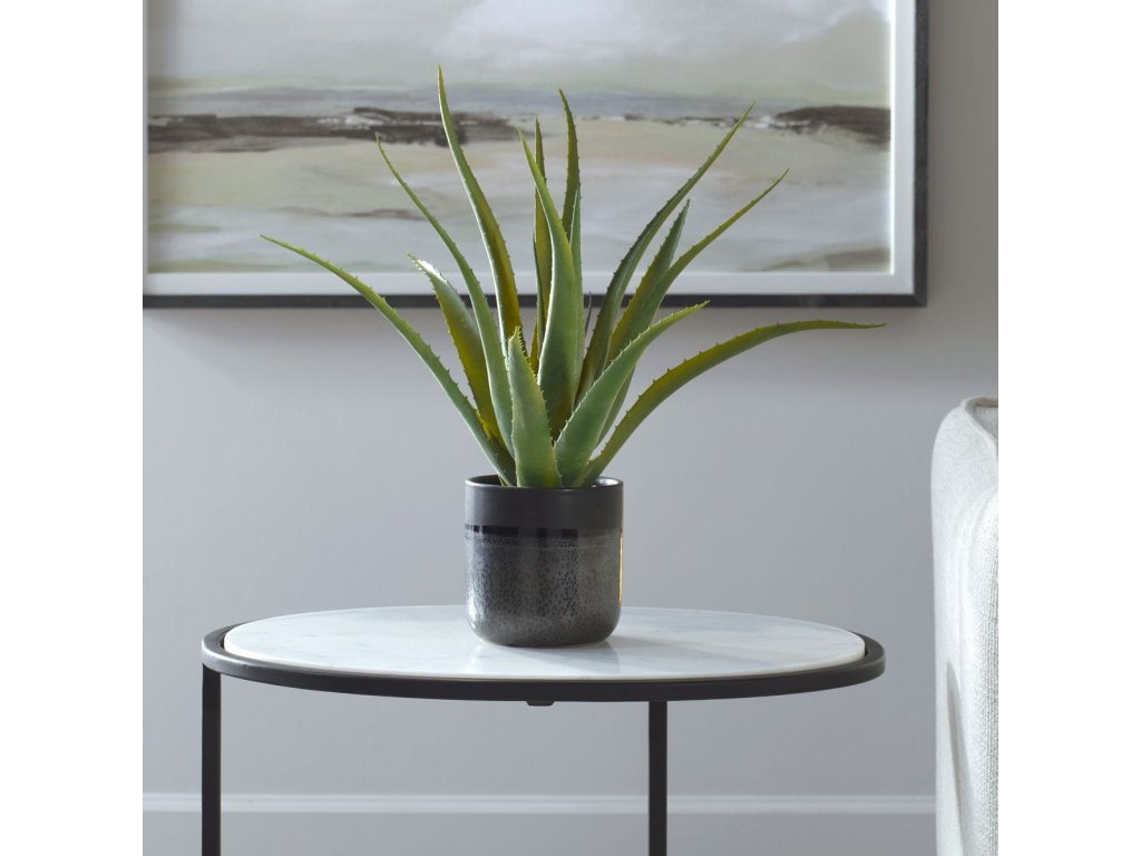 Tucson Aloe Planter - image 1