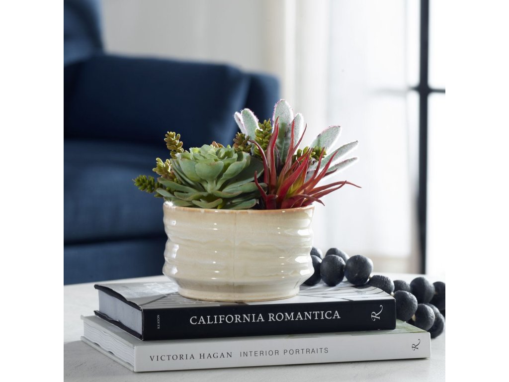 Mesa Succulent Accent - image 1