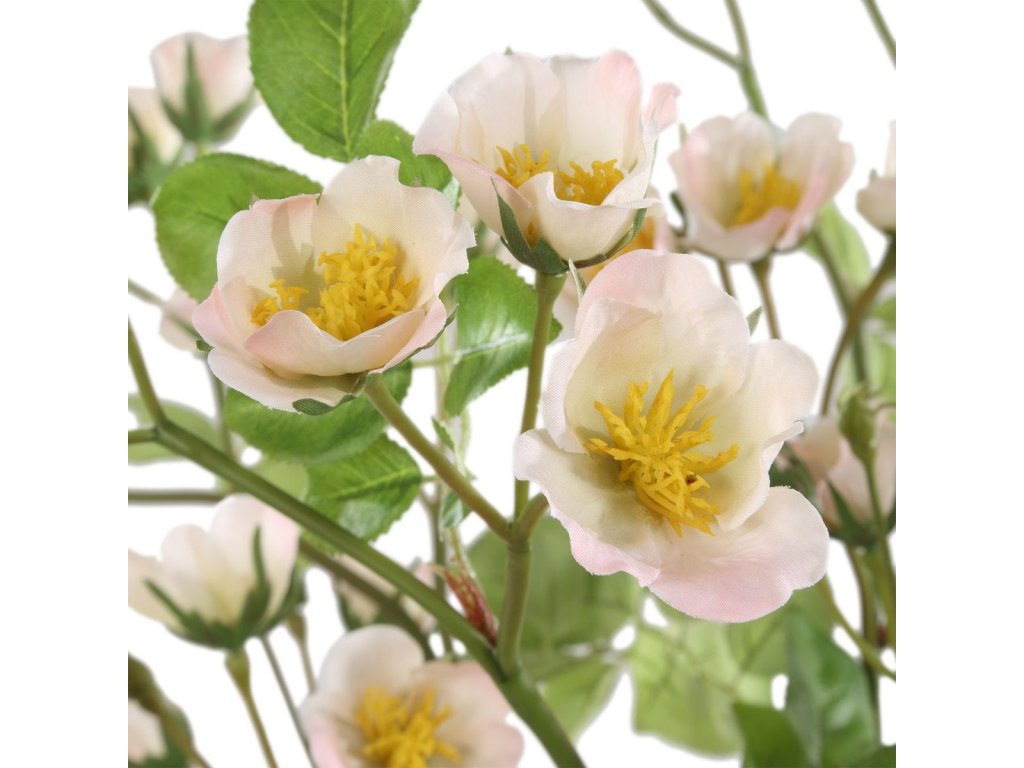 Tranquility Lenten Rose Bouquets, S/2 - image 2