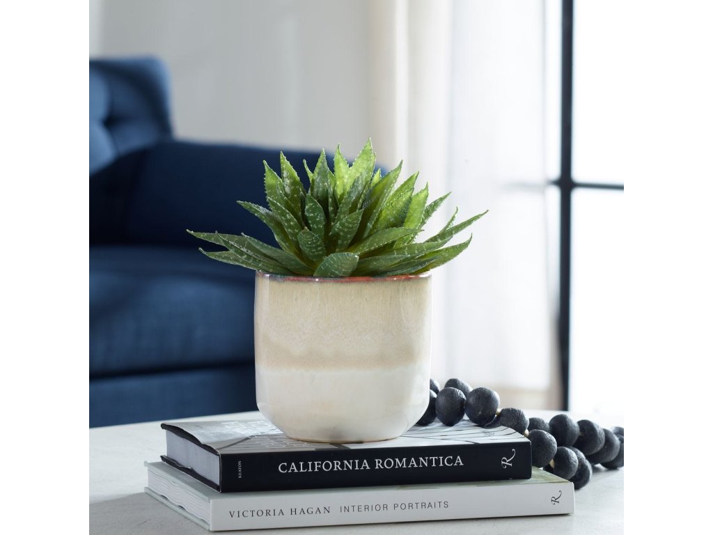 Doha Succulent Accent - image 1