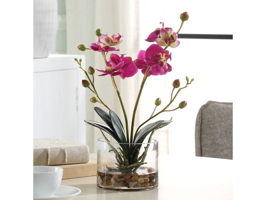 Glory Orchid, Fuschia - image 2