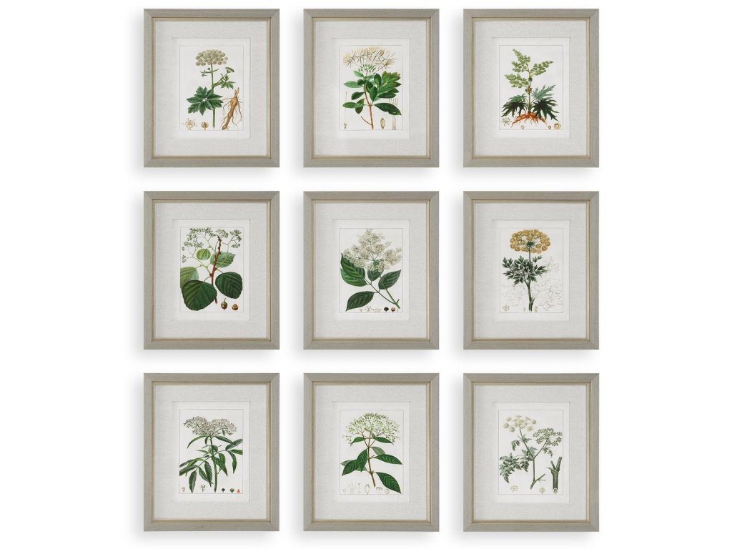 Antique Botanicals Framed Prints, S/9 - main image