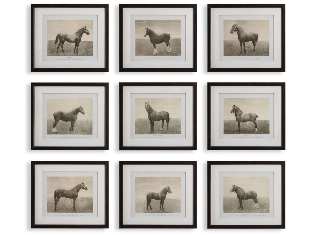 Equine Dynasty Framed Prints, S/9 - main image