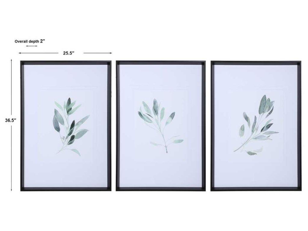 Simple Sage Framed Prints, S/3 - image 6