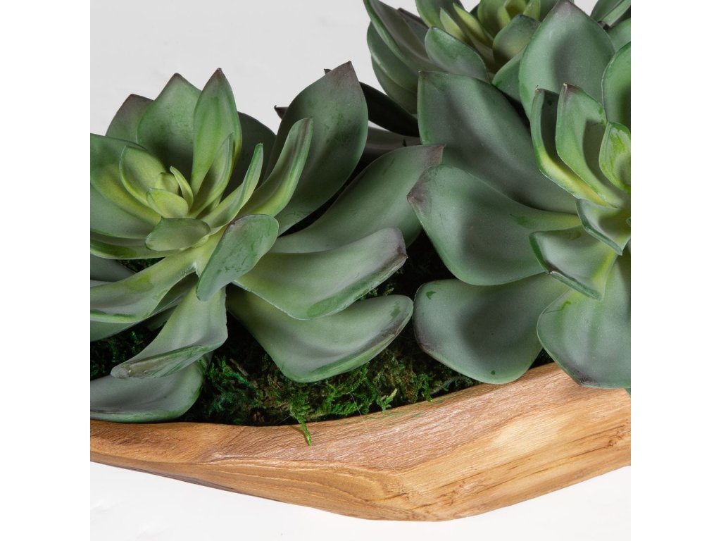 Yuma Succulent Centerpiece - image 4