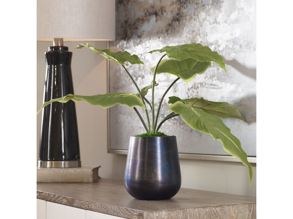 Mari Calla Accent - image 2