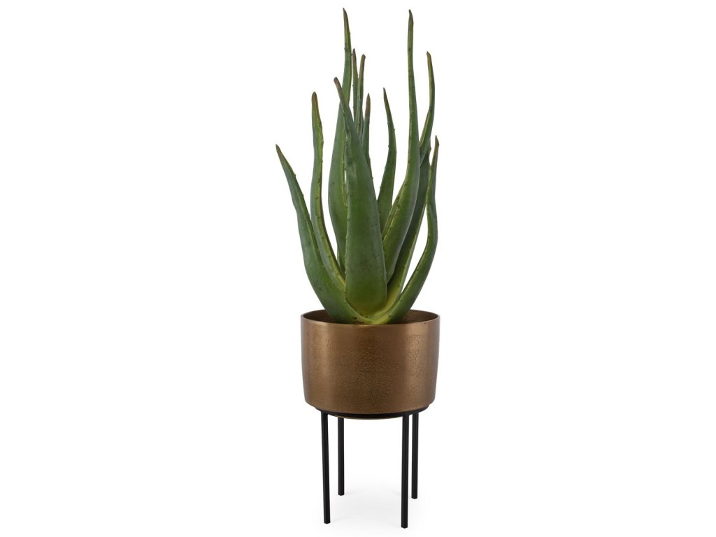Arabia Aloe Planter, 2 Cartons - main image