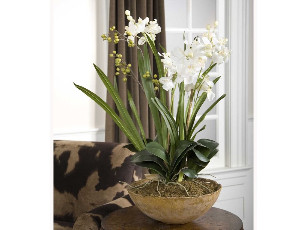 Moth Orchid Planter - image 4