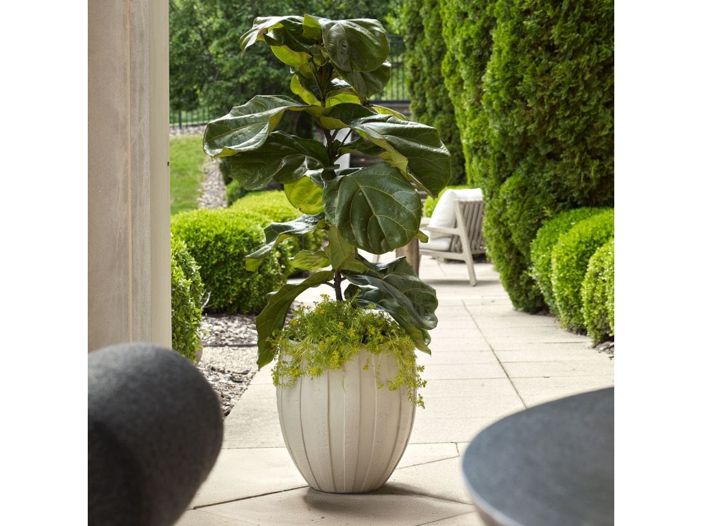 Ridgehaven Outdoor Planter - image 1