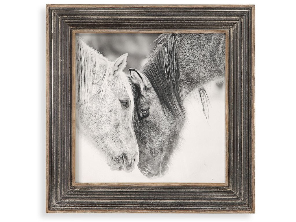Custom Black And White Horses Framed Print - main image
