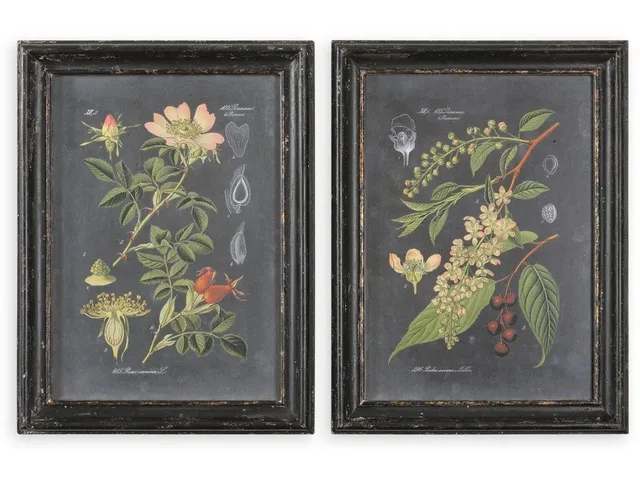 Midnight Botanicals Framed Prints, S/2