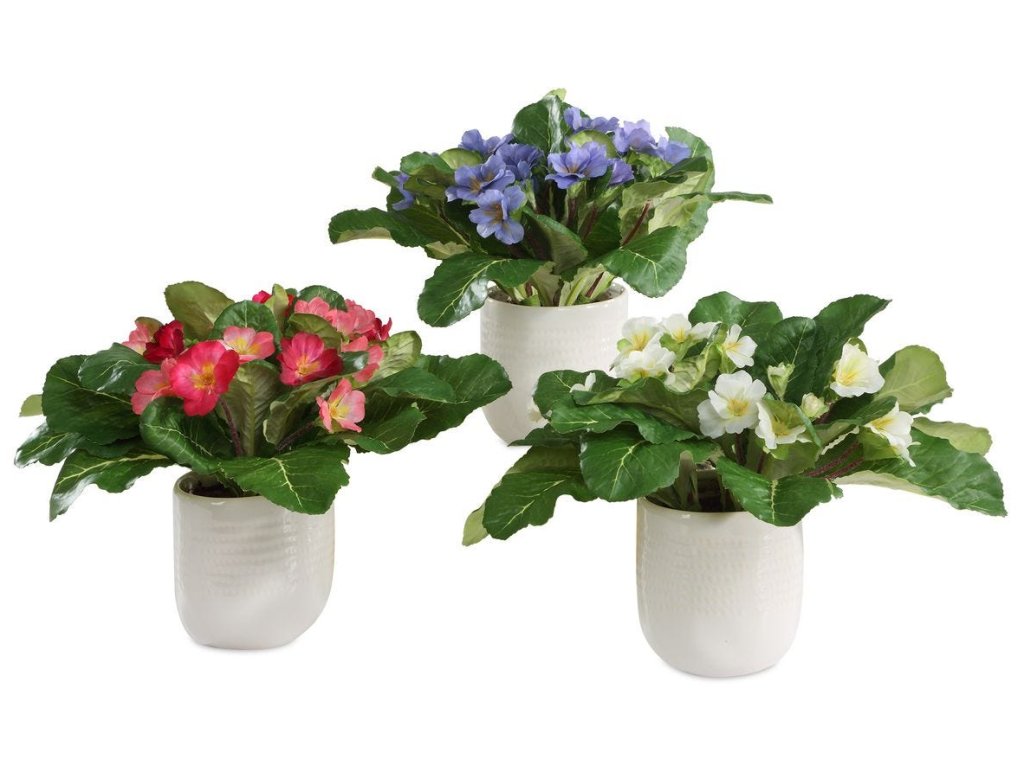 Trilogy Primrose Accents, S/3 - main image