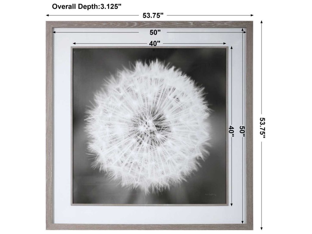 Dandelion Seedhead Framed Print - image 8