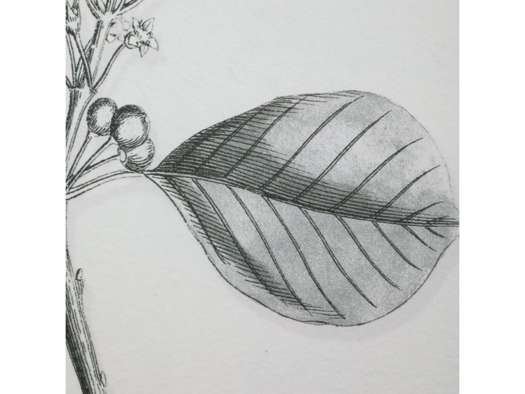 Farmhouse Florals Framed Prints, S/9 3 Cartons - image 3