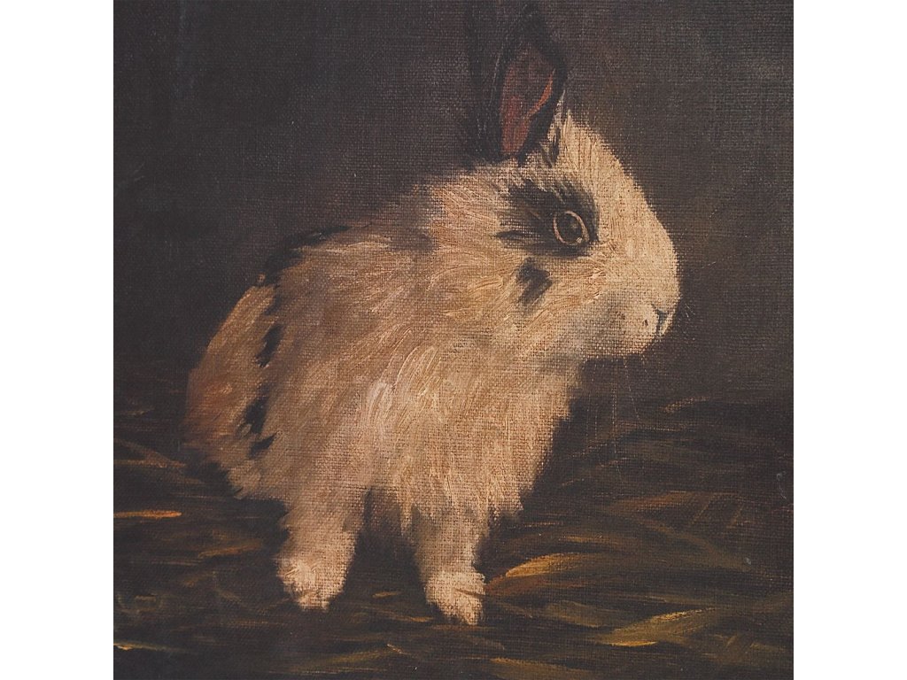 Resting Bunny Framed Prints, S/9 - image 4