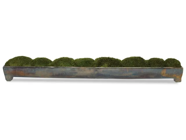 Canal Moss Centerpiece, Large