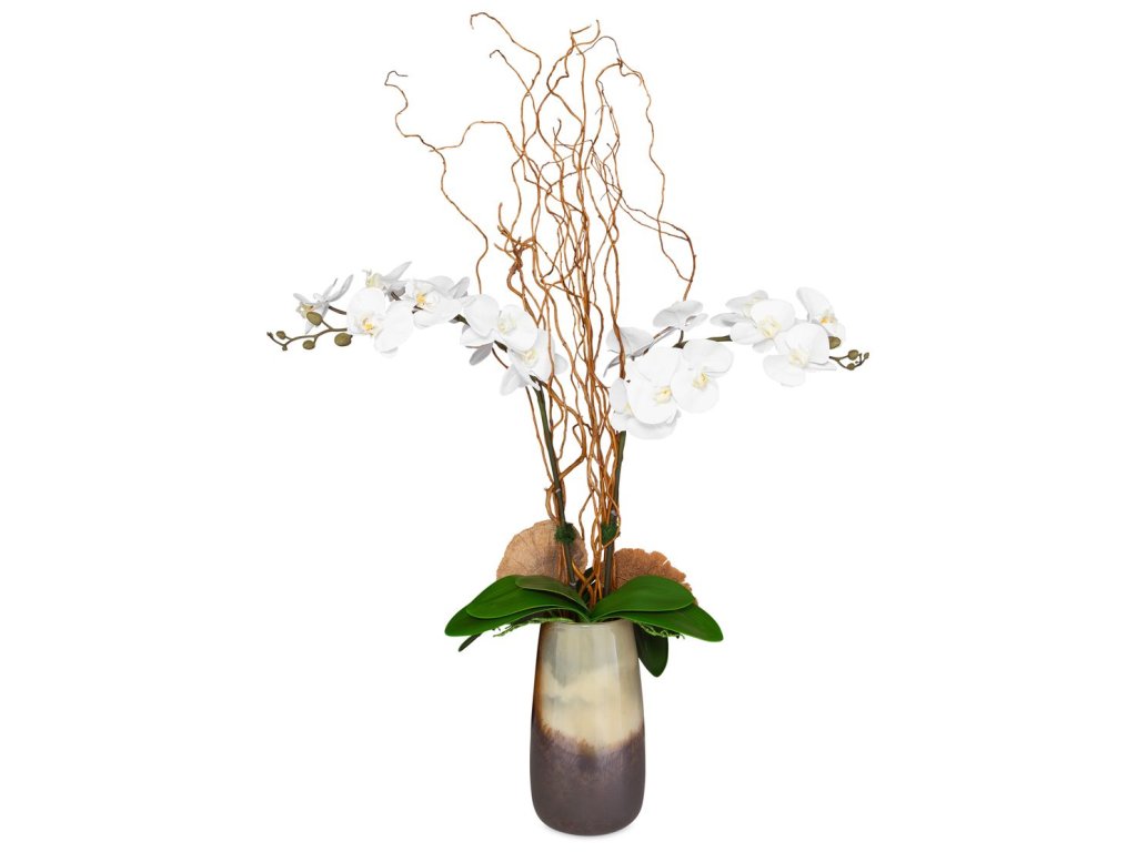 Earthbound Orchid - main image