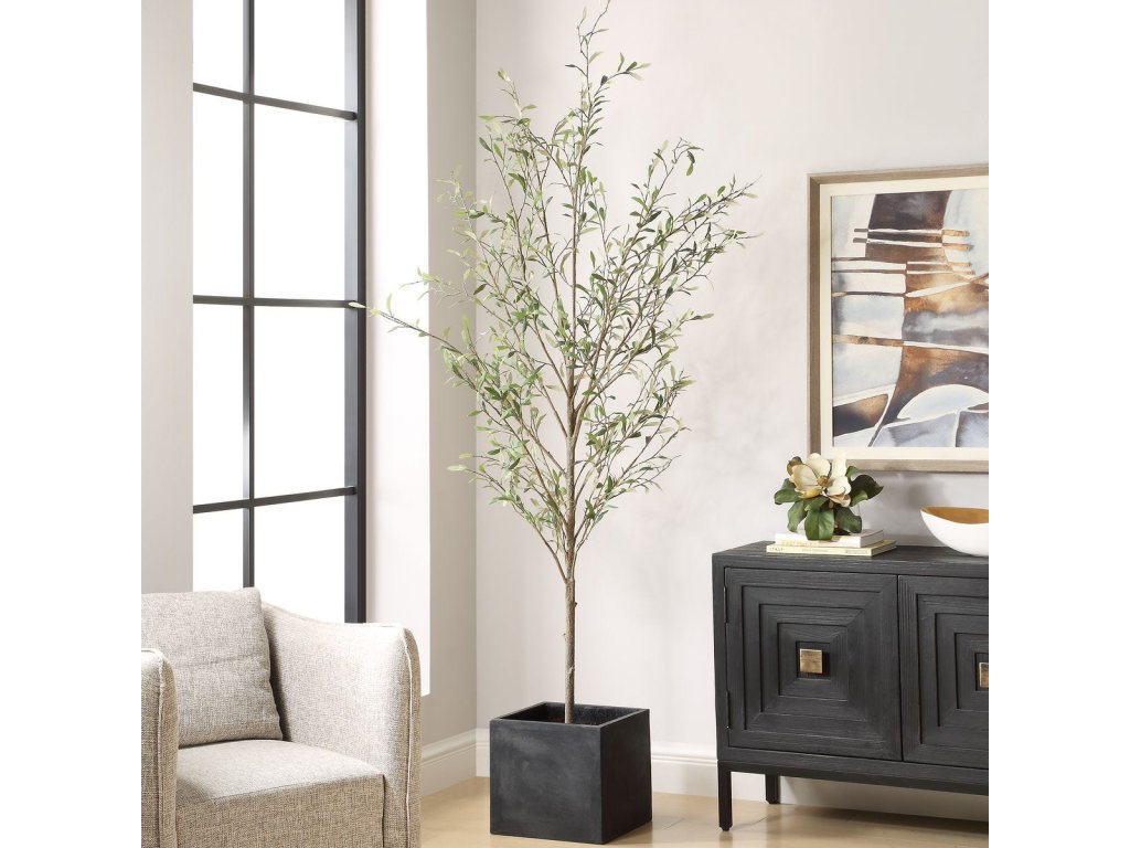 Abundance Potted Olive - image 1