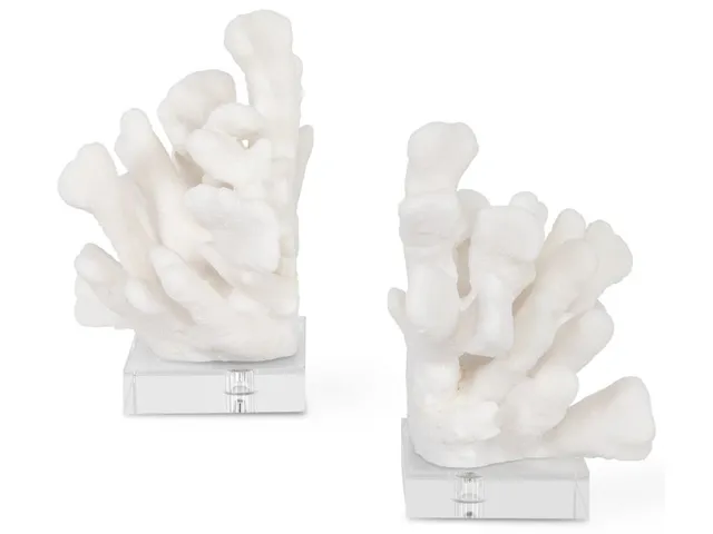Charbel Bookends, S/2