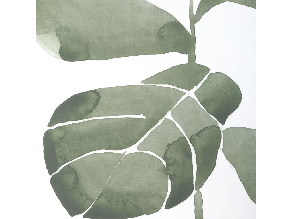 Fiddle Head Leaf Framed Prints, S/4 - image 4