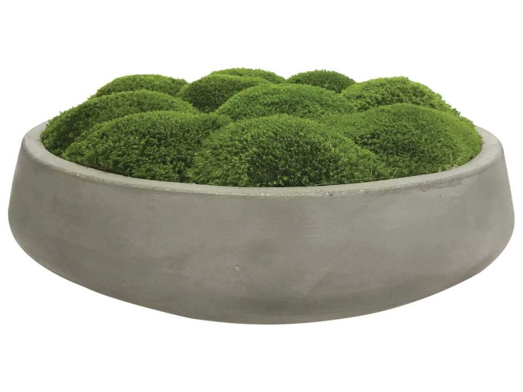 Cale Moss Centerpiece - main image
