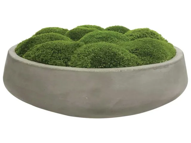 Cale Moss Centerpiece