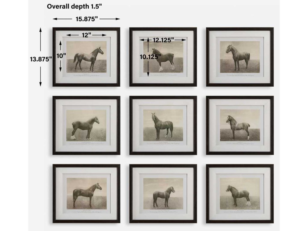 Equine Dynasty Framed Prints, S/9 - image 6