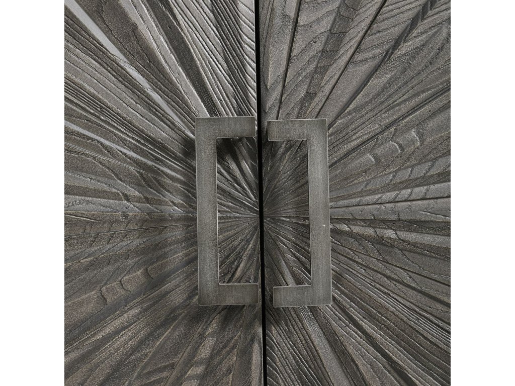 Shield 2 Door Cabinet - image 5