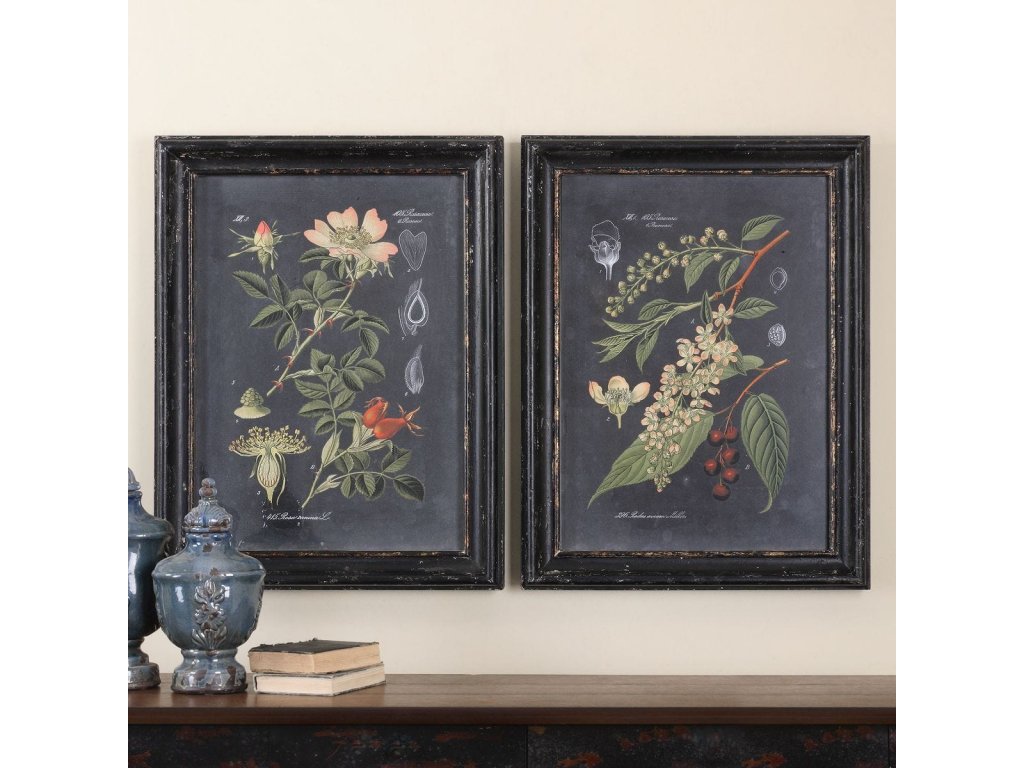 Midnight Botanicals Framed Prints, S/2 - image 1